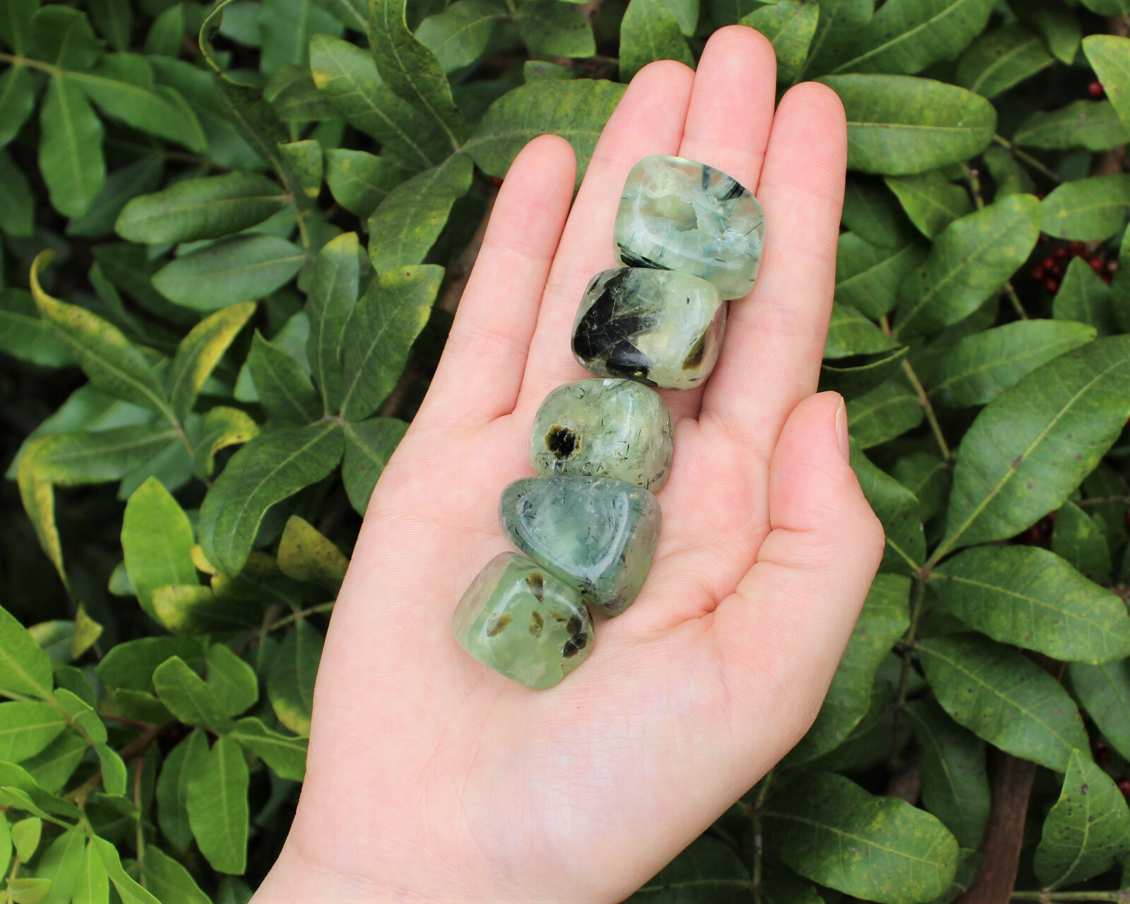 2 oz Prehnite with Epidote Tumble Stones (Crystal Healing Reiki)