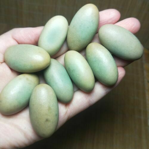 1pc Glow In The Dark Tibetan Wealth God Ancient Luminous Egg Stone Old Dzi Bead