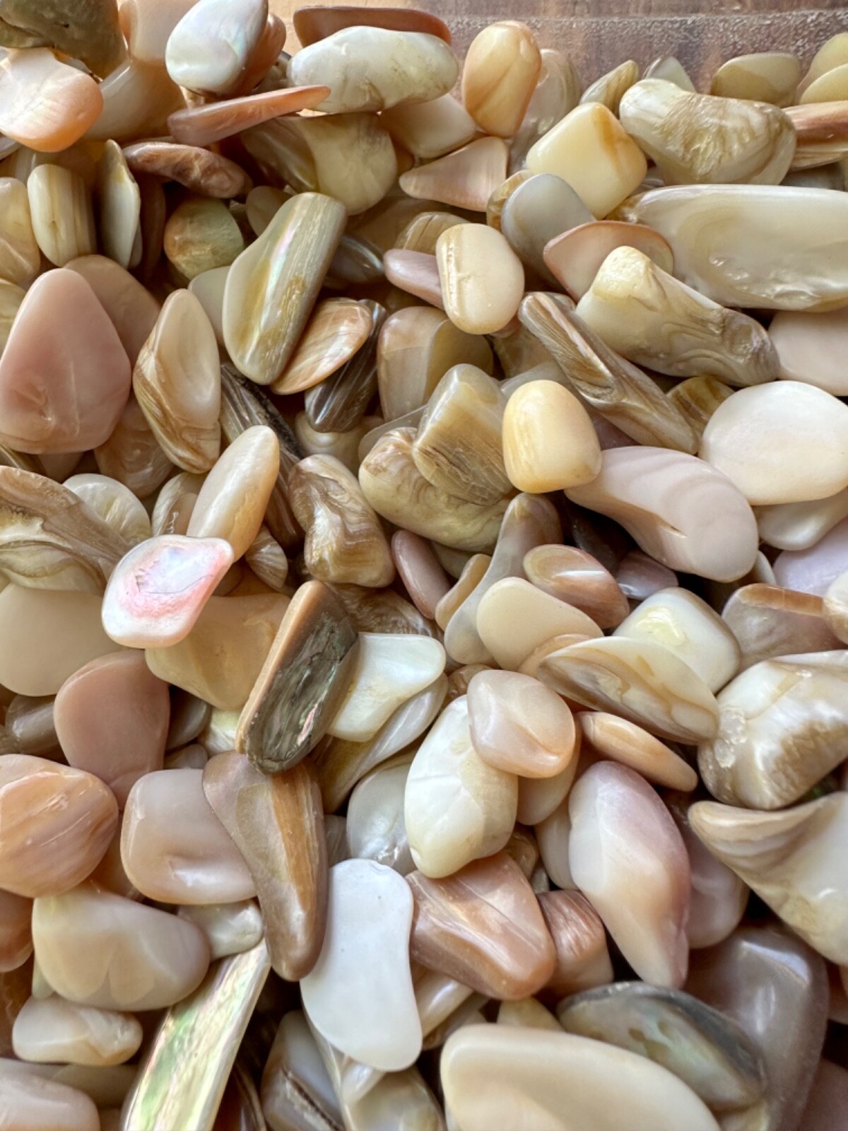 1/4LB Mother of Pearl MOP Shells 1/4”-1” White Cream Reiki Healing Seashells
