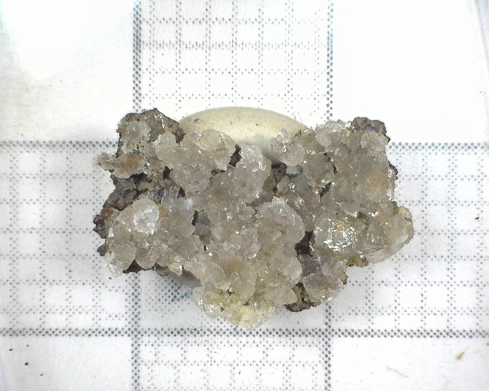 19289 MM Austinite Gold Hill Mine Tooele County Utah USA 4183