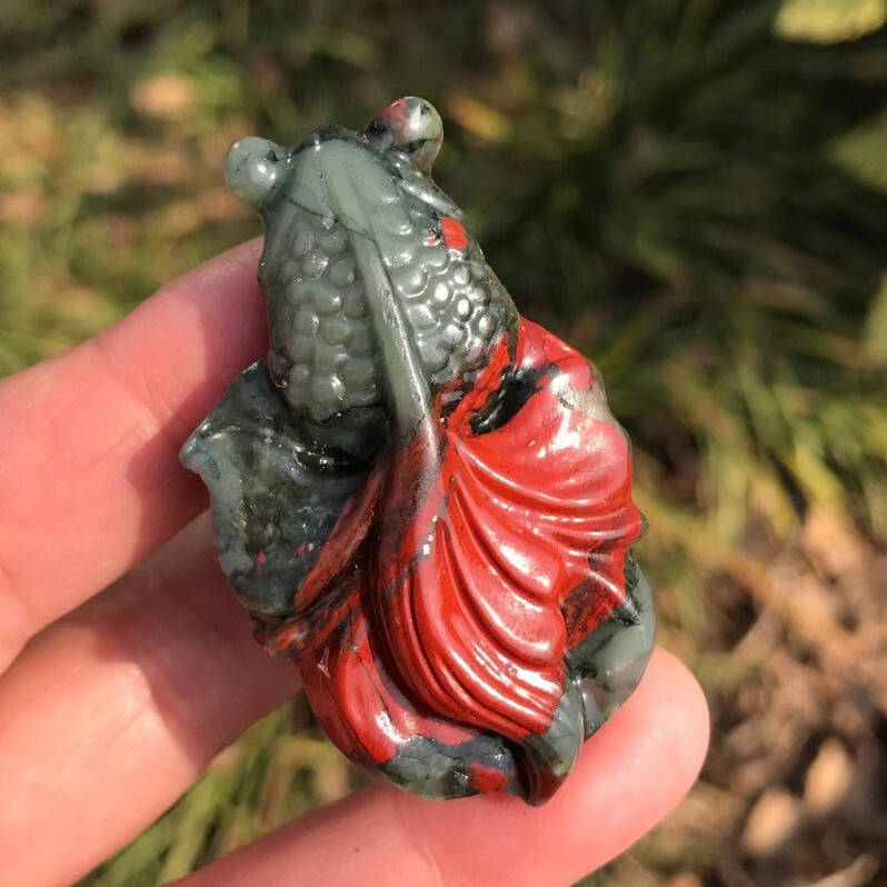 1pc Natural Bloodstone Quartz Hand Caved Fish Skull Crystal Reiki Healing