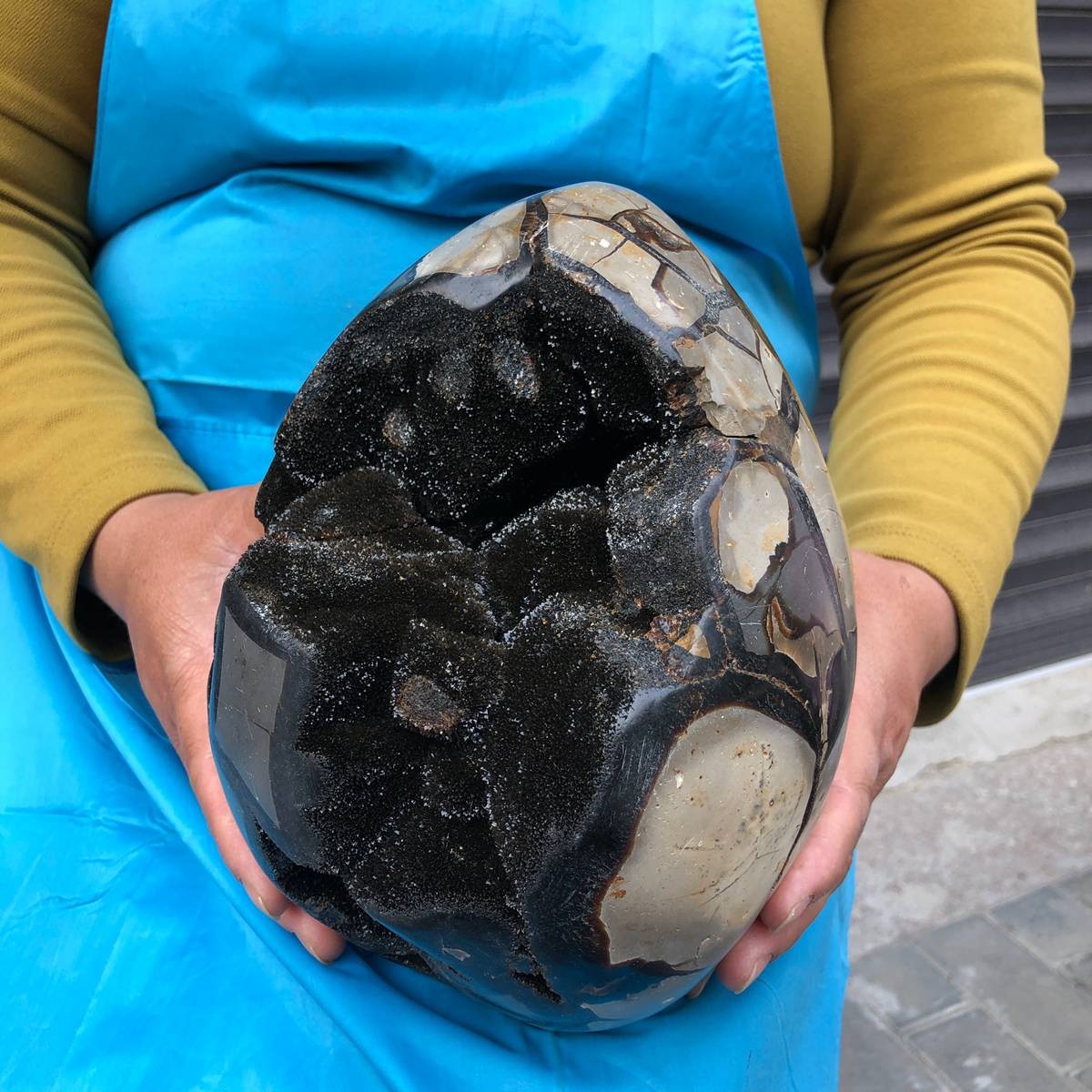 6400G Natural Turtle Back Stone Dragon Crystal Cave Crack Gem Healing 4349