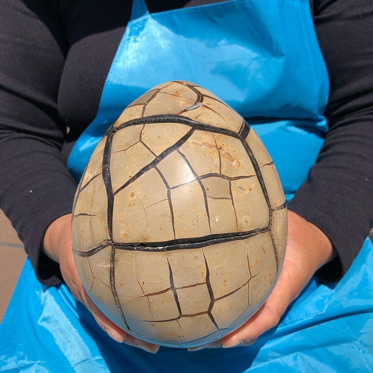 3500G Natural Turtle Back Stone Dragon Crystal Cave Crack Gem Healing 4344