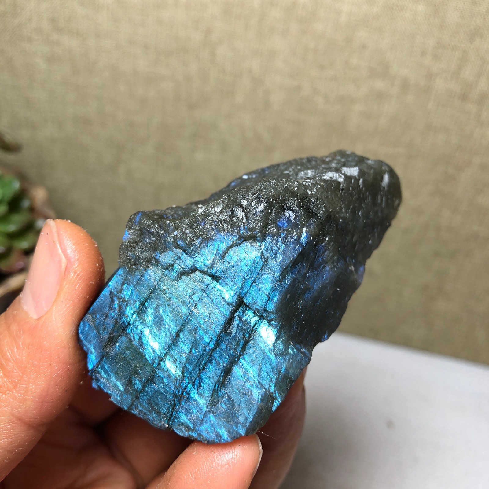 61mm Natural Labradorite Crystal gemstone rough original Specimen 79g A4228