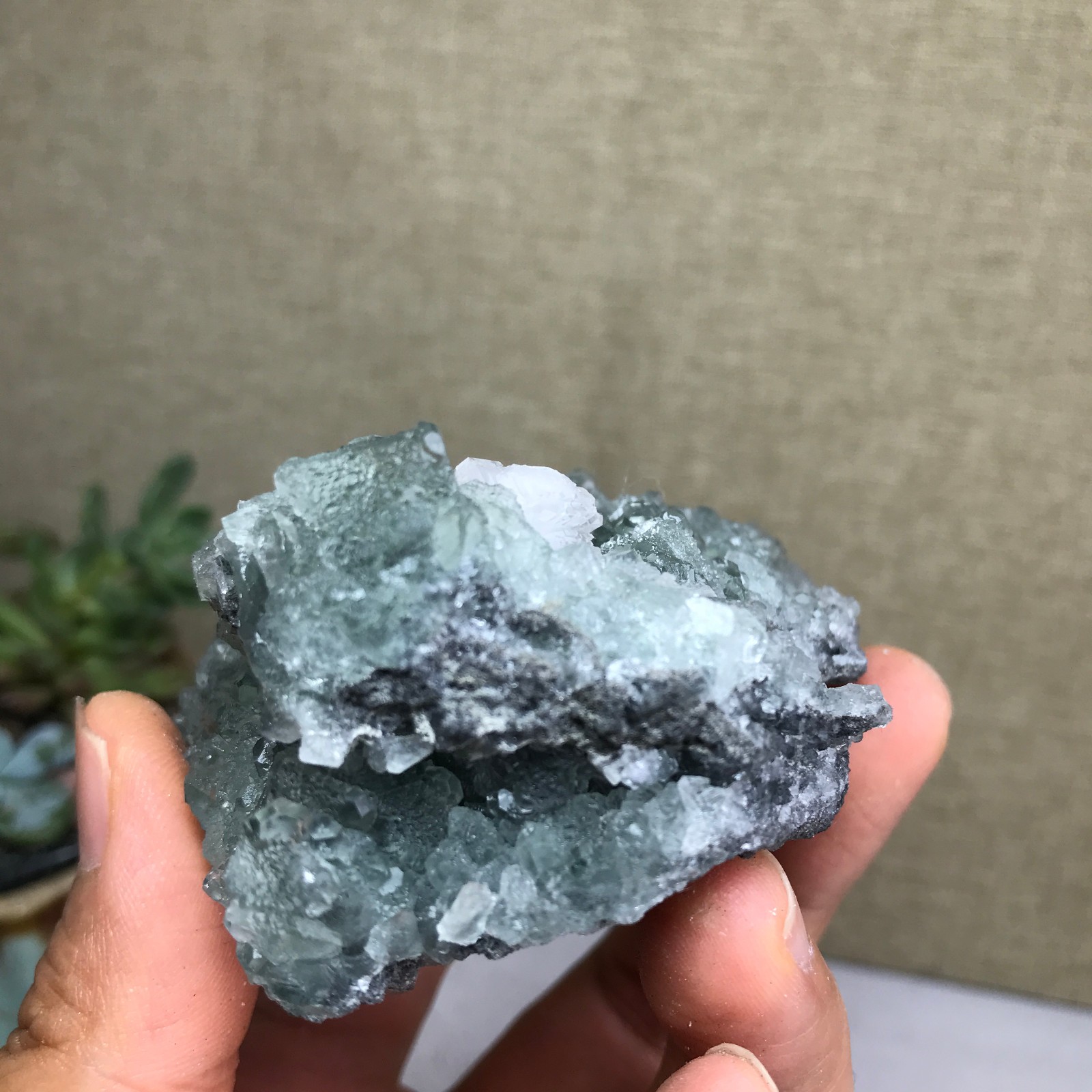 141g NATURAL Green Cubic FLUORITE paragenesis Crystal Cluster Specimen A4783