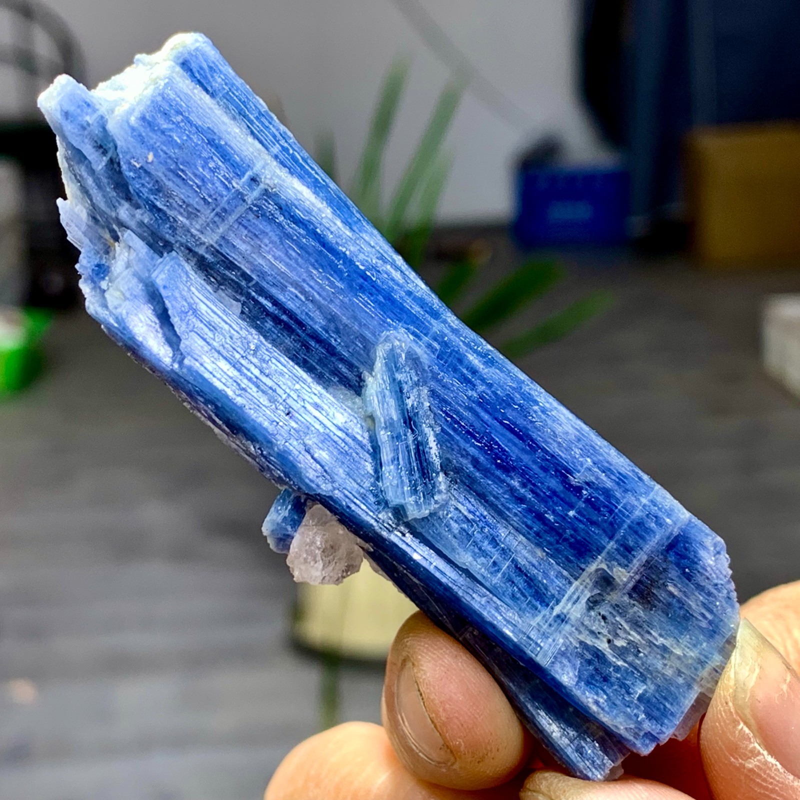 72G Rare!! Natural beautiful Blue KYANITE with Quartz Crystal Specimen Rough