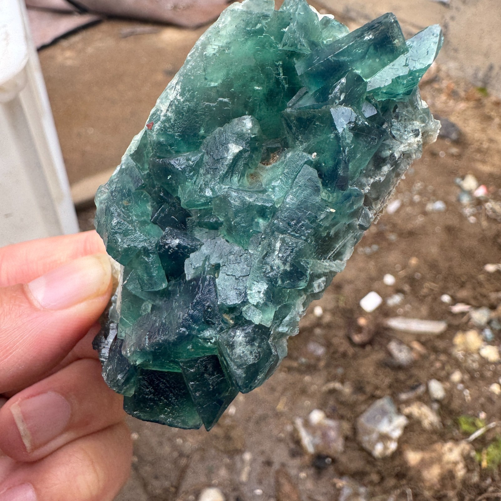 115G Natural cubic green fluorite crystal cluster rough mineral specimen Healing