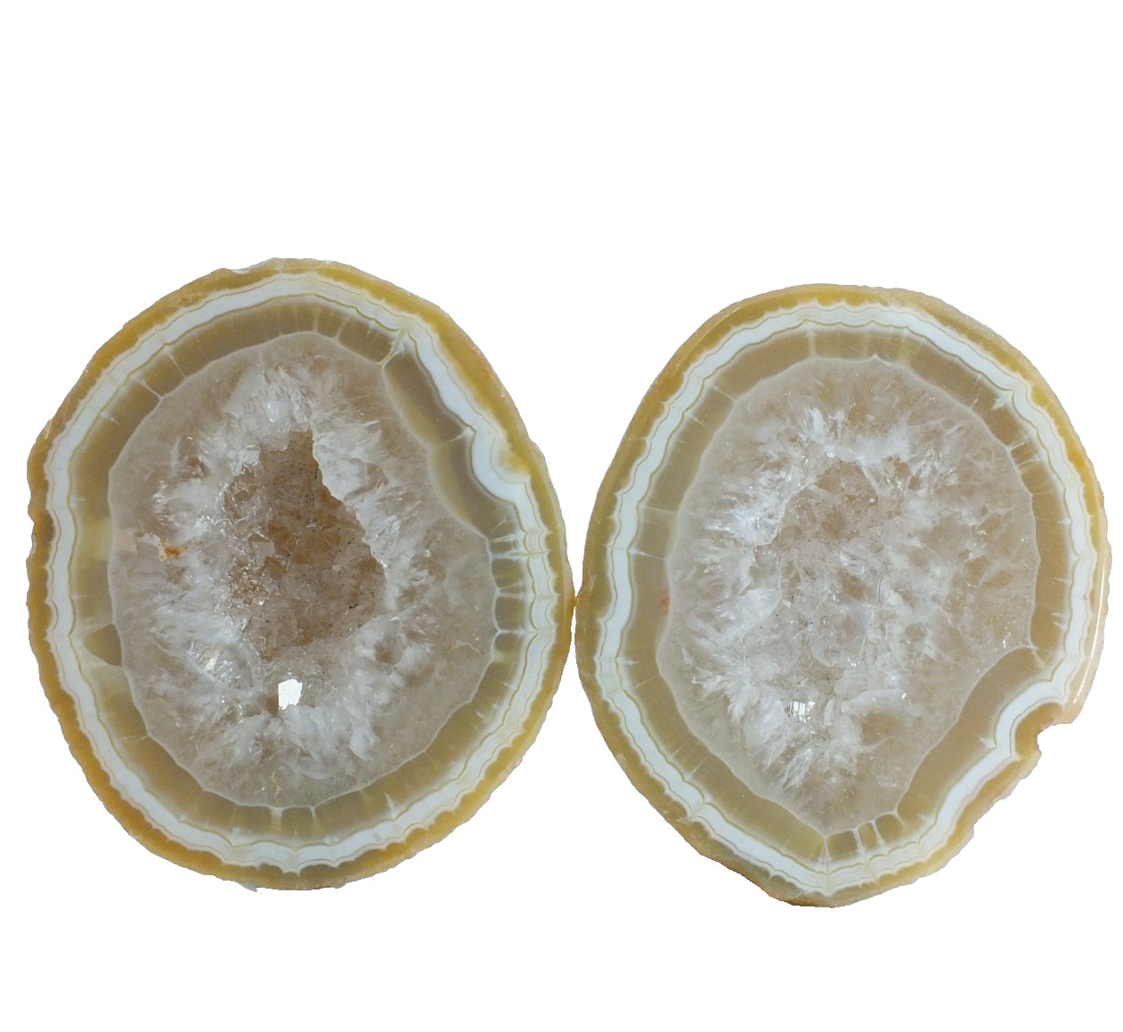 Agate Nodule, polished halves Pair Agate Creek Queensland Australia (EA10390)