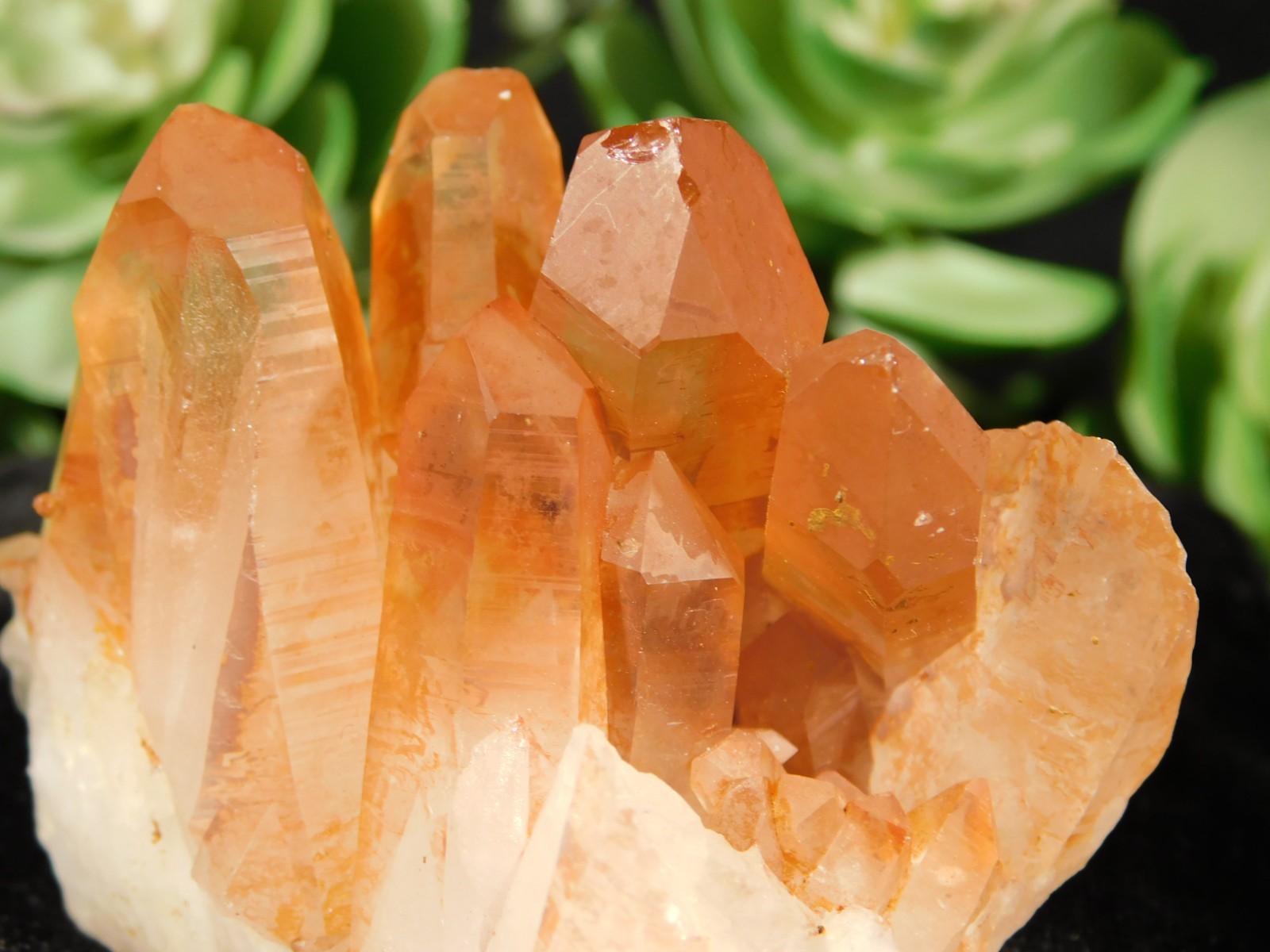 GOLDEN Healer Quartz Crystal Cluster 100% Natural Brazil 149gr