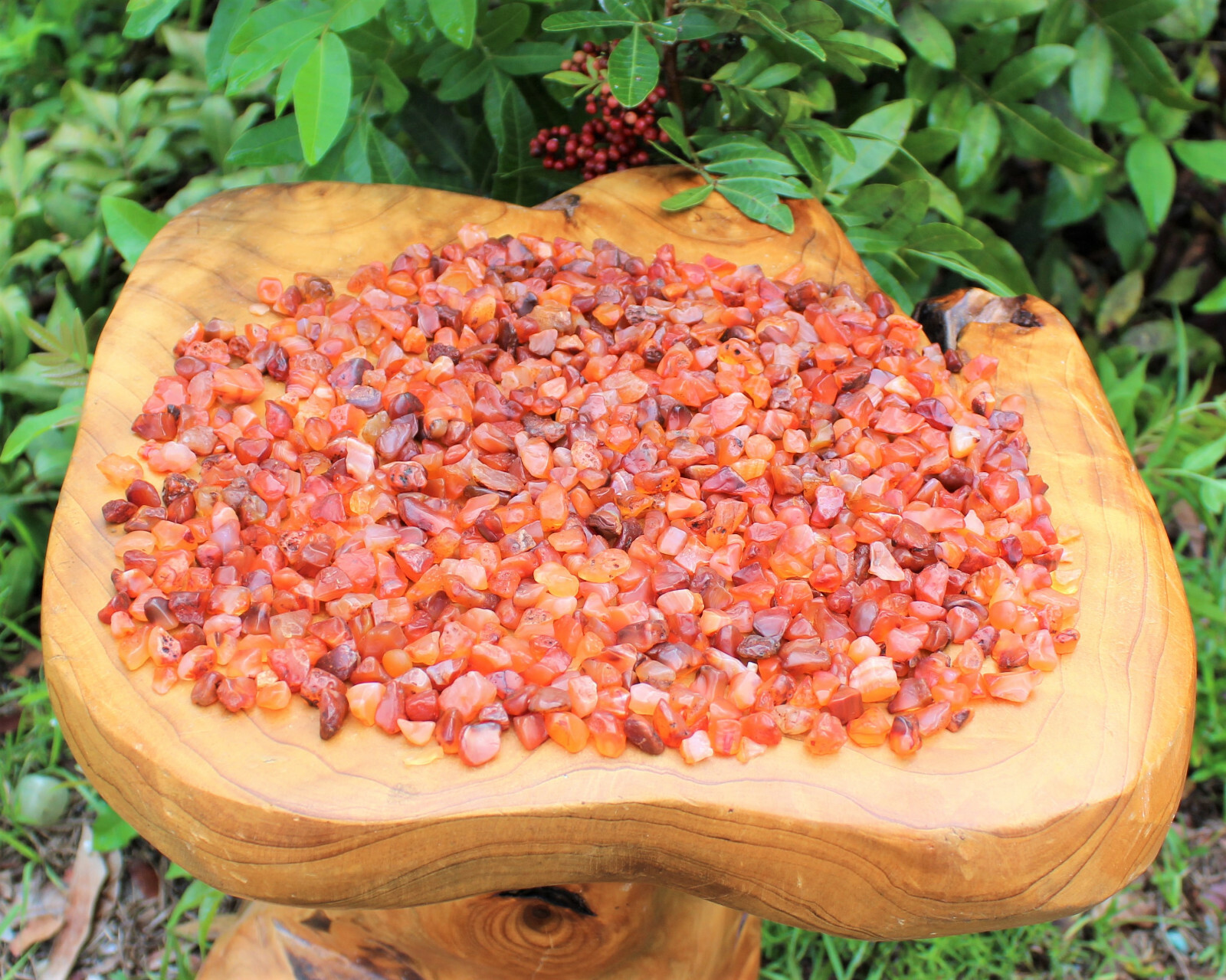 Carnelian Semi Tumbled Gemstone Mini Chips 5-15 mm, ‘A’ Grade Wholesale Bulk Lot