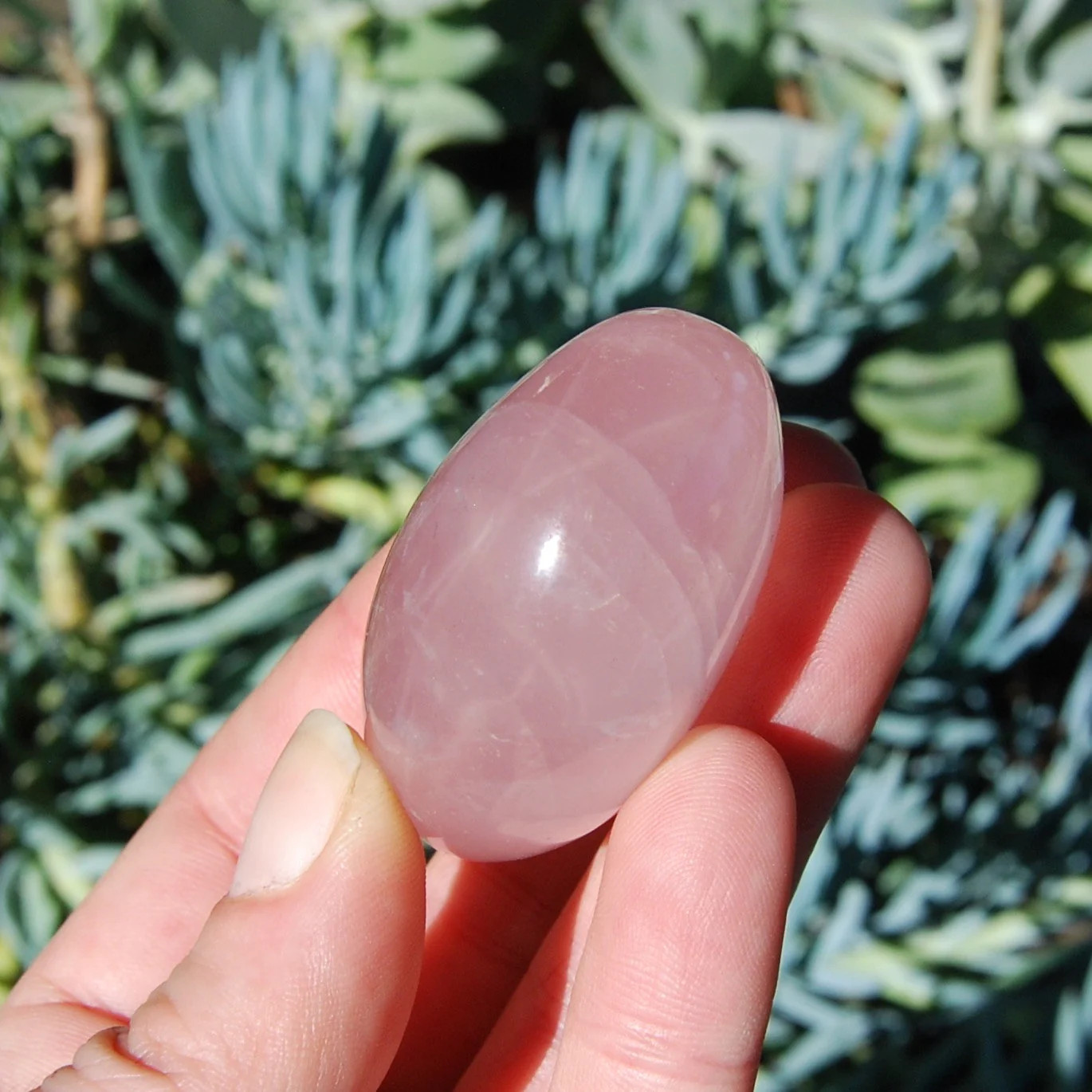 ONE Star Rose Quartz Crystal Palm Stone, Asterism, Mozambique