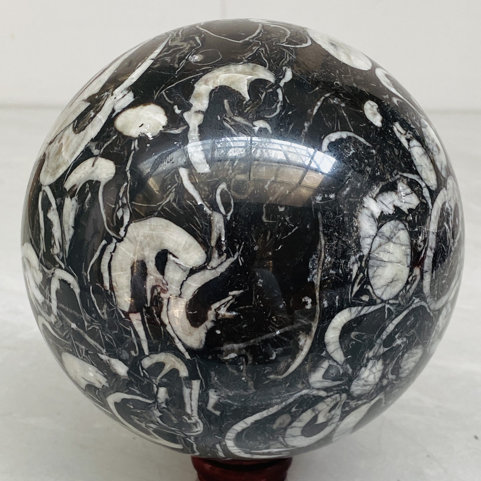 Natural Shell Jasper Thousand Eye Stone Crystal Polished Ball Healing (8.02LB)
