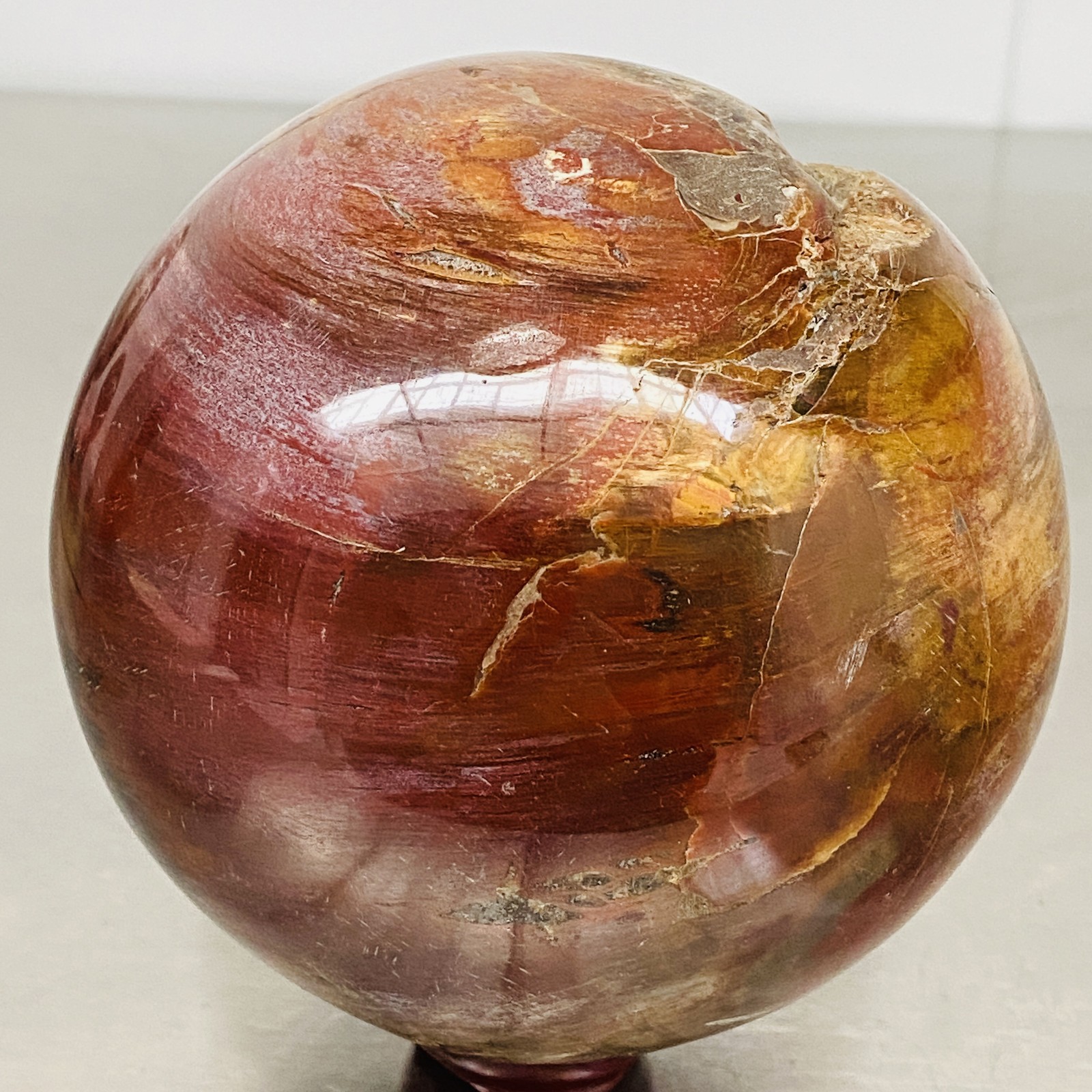 Natural Petrified Wood Polished Stone Quartz Crystal Sphere Ball Healing 2220G
