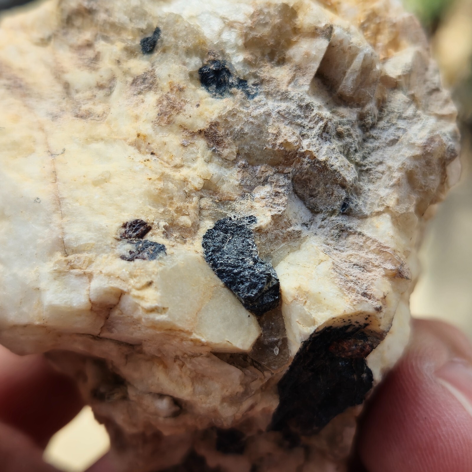 Feldspar Tourmaline W/Garnets Specimen From Mountains of San Diego, California
