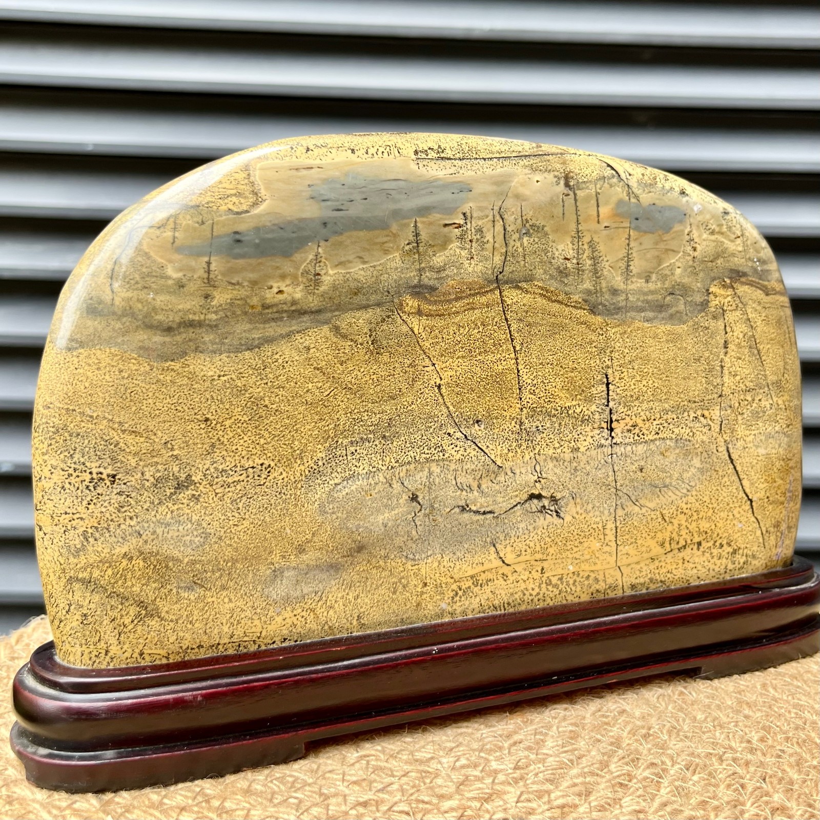Natural Scenic Stone Display Polished Pattern Art w/ Wood Stand 4.1 lb