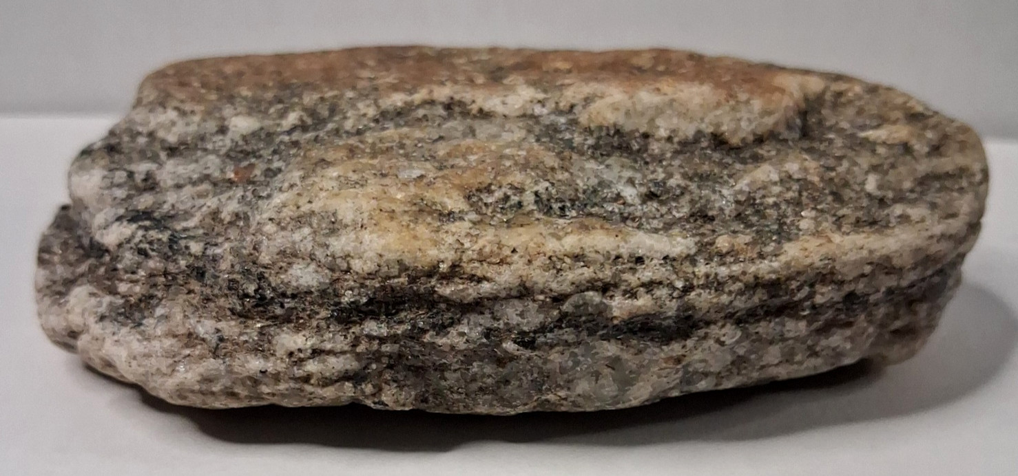 Gneiss – Metamorphic Rock Specimen – 14.1 oz – Rough – White & Black Striped