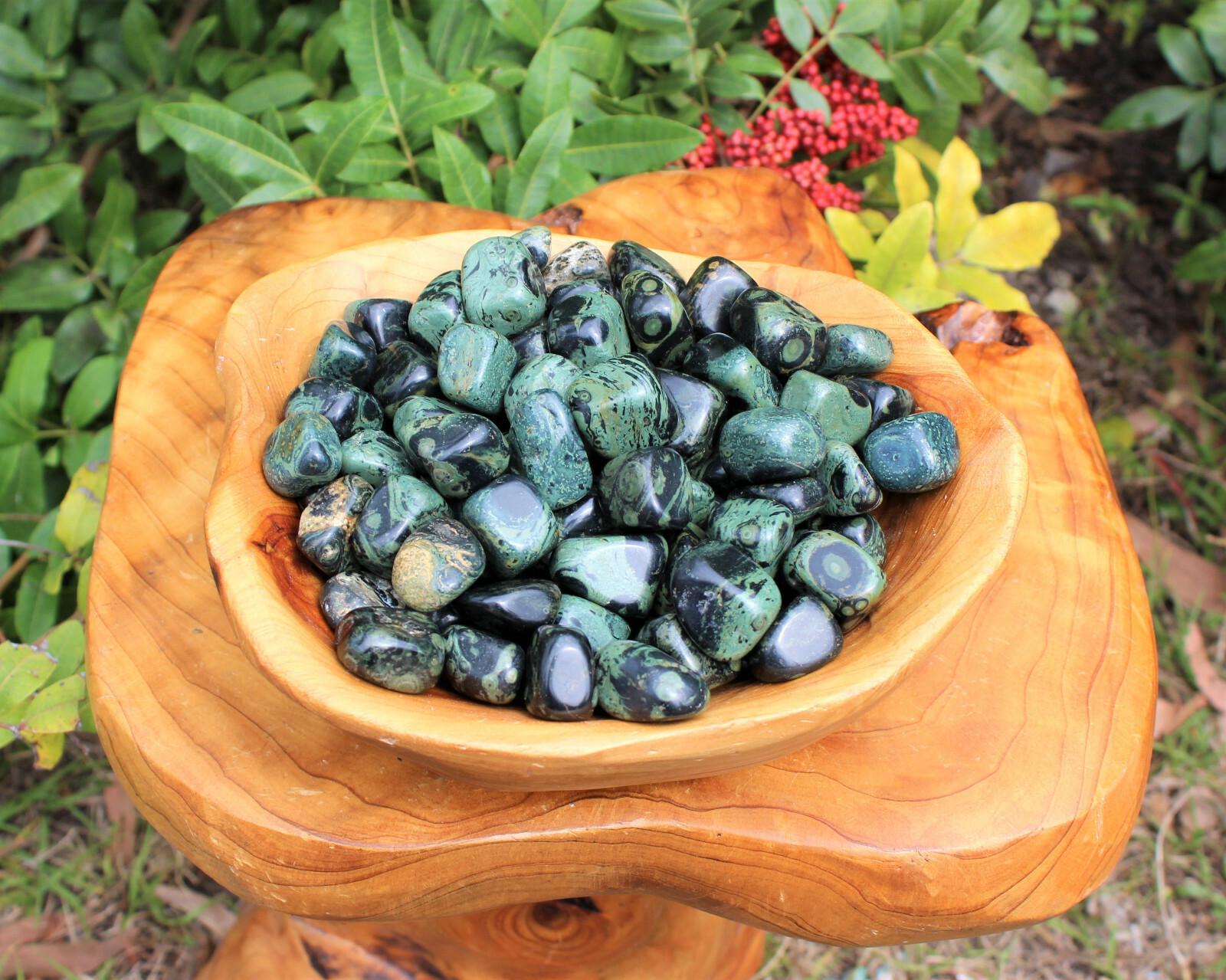 1/2 lb Bulk Lot Kambaba Jasper Tumbled Stone (Crocodile Jasper) 8 oz