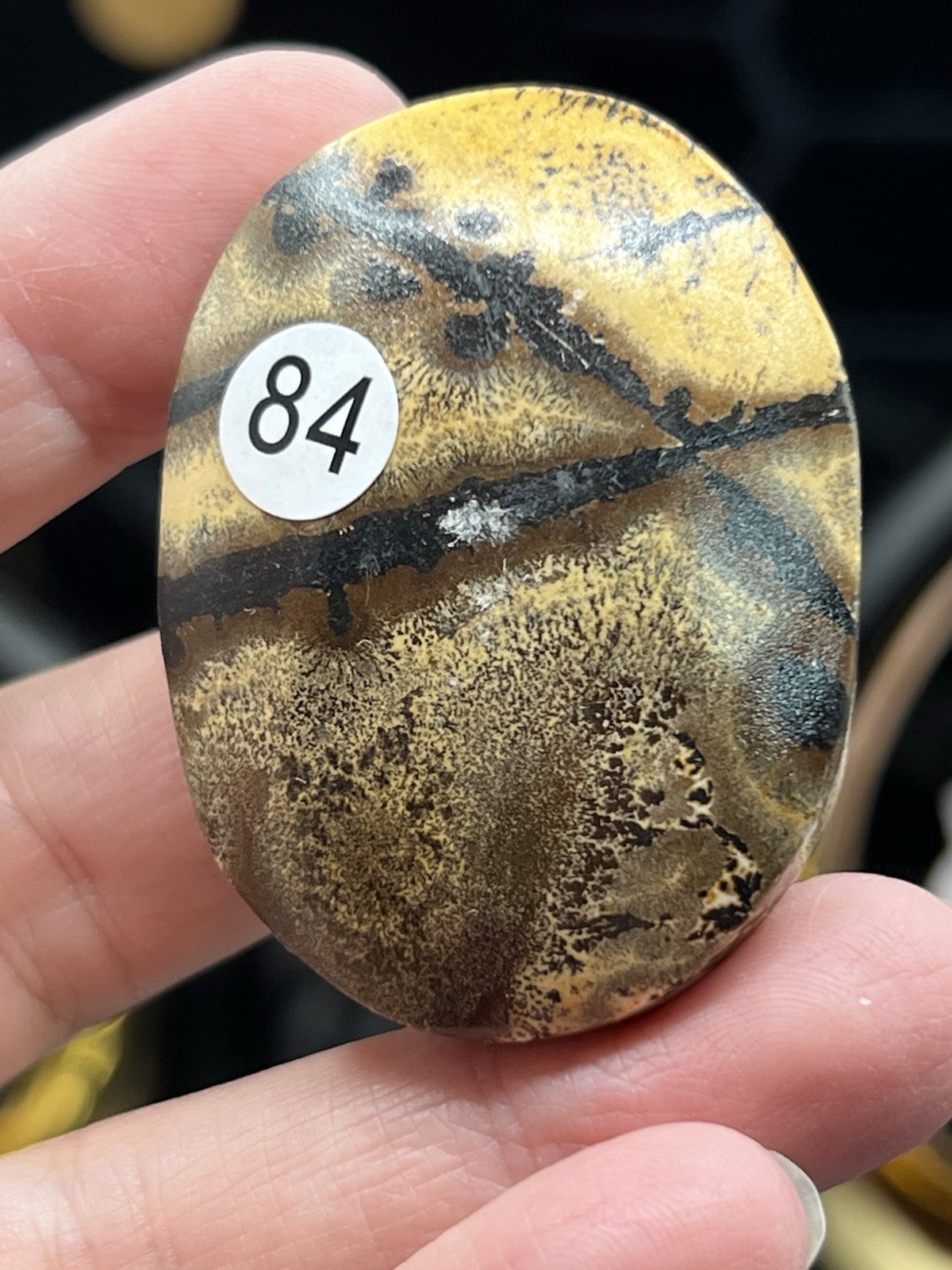 Natural Picture Jasper AMAZING Dendritic Polished Palmstones Free ship & Gift