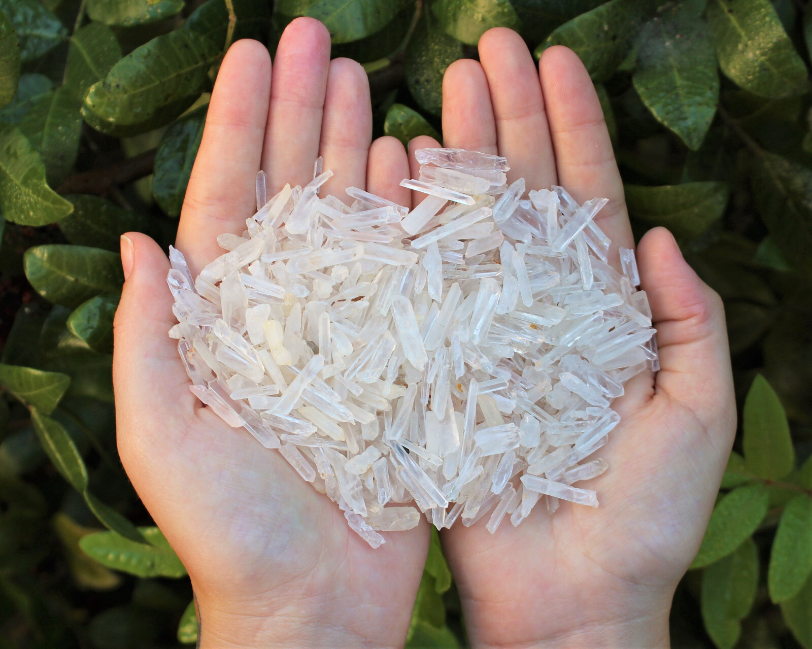 Tiny Natural Matchstick / Jewelry Quartz Crystal Points 50 Gram Lot (1.76 oz)