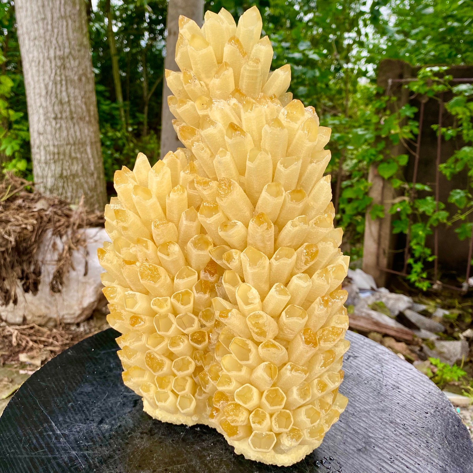 21.9LB New find yellow Phantom Quartz Crystal Cluster mineral samples
