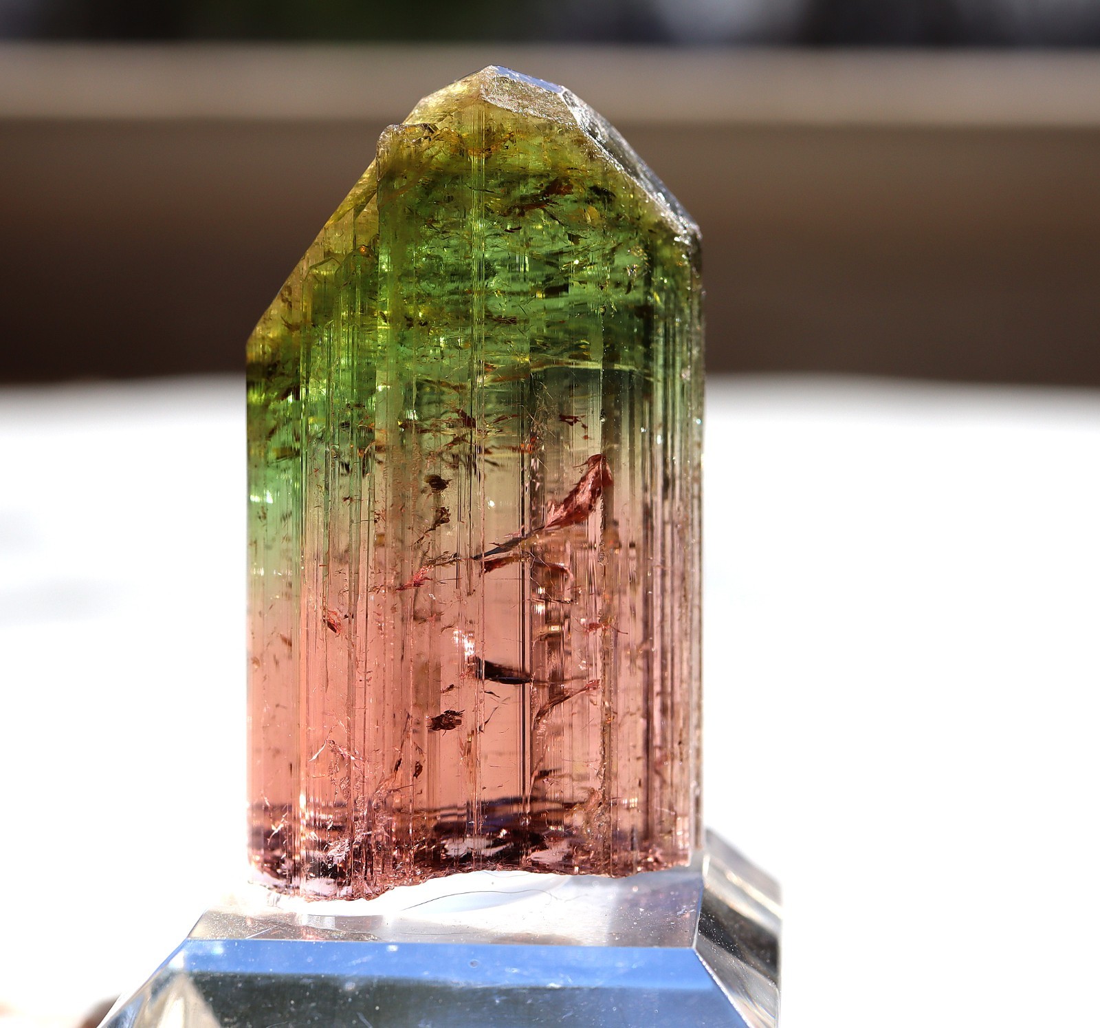 Gem Tourmaline. Nuaparra Pegmatite, Zambezia Prov., Mozambique. About 50 grams