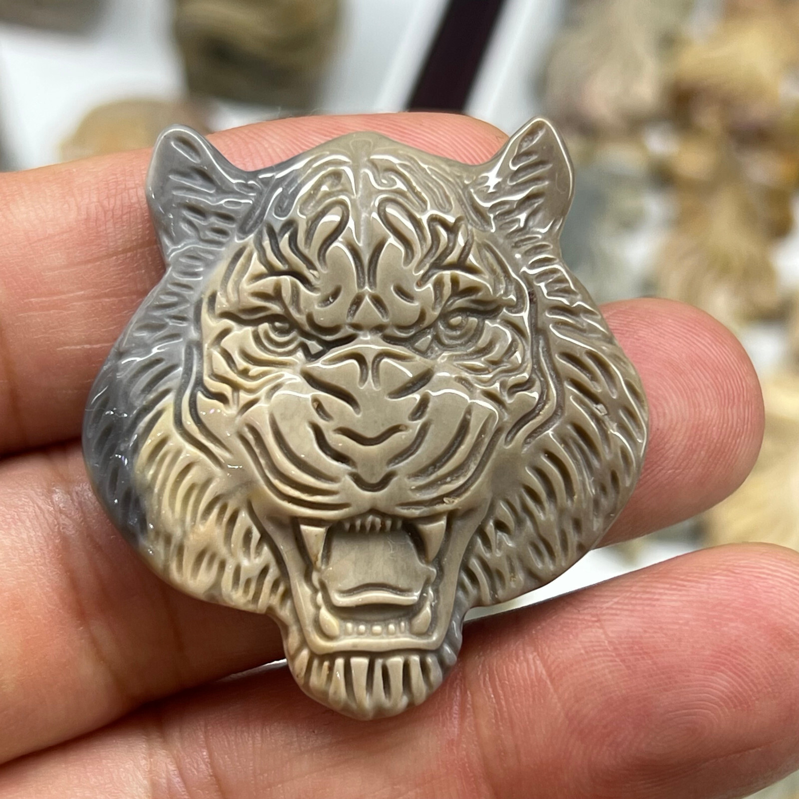 2”Natural Ocean jasper Quartz Hand Carved tiger skull Crystal Healing 1pc