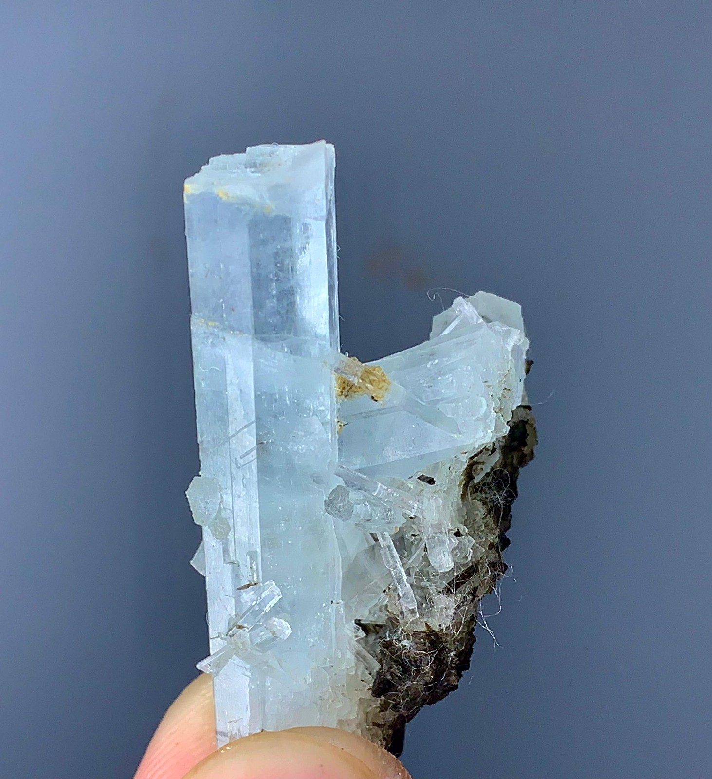43 Carat Aquamarine Crystal Specimen From Skrdu Pakistan
