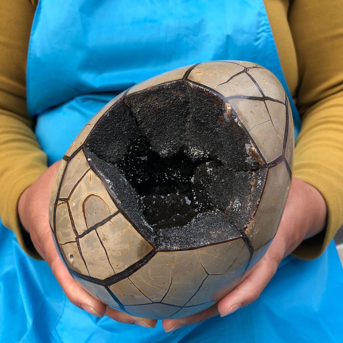 7.23 LB Natural Septarian Turtle Shell Geode Dragon Egg Crystal Healing 4351