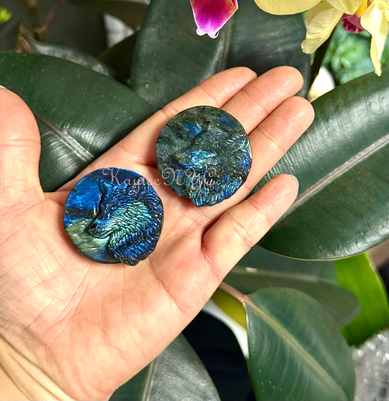 Wholesale Lot 6 PCs Natural Labradorite Wolf Crystal Healing Energy