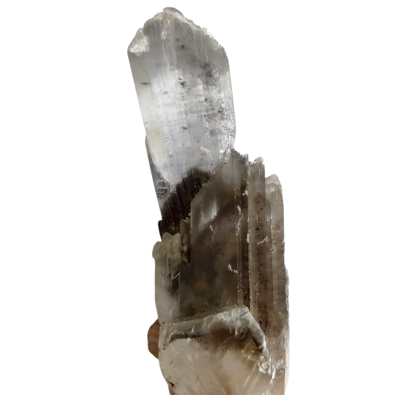 0.79 lbs Rare Ferro Selenite Master Crystal – Phantom Gypsum w Black Iron Oxide