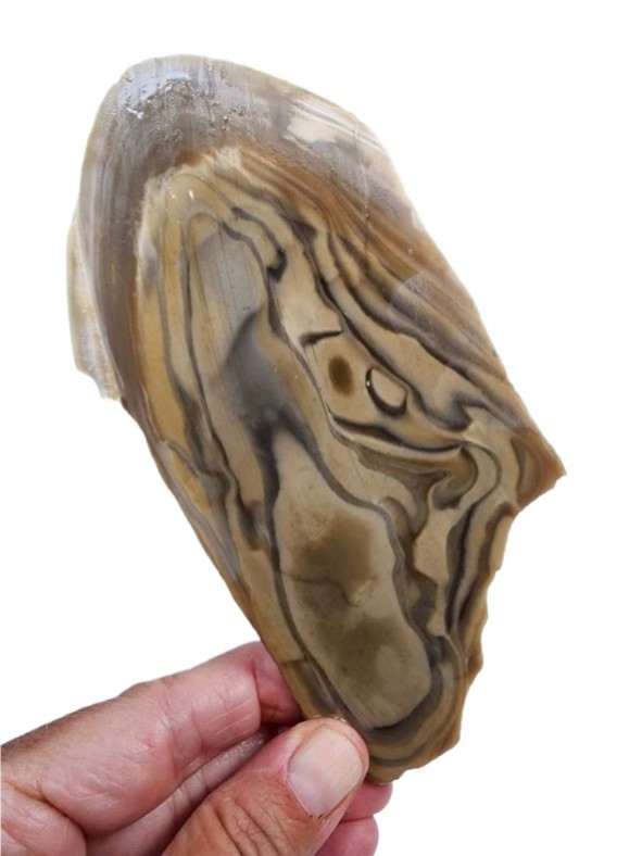 Polish Flint Slab 96.4 grams