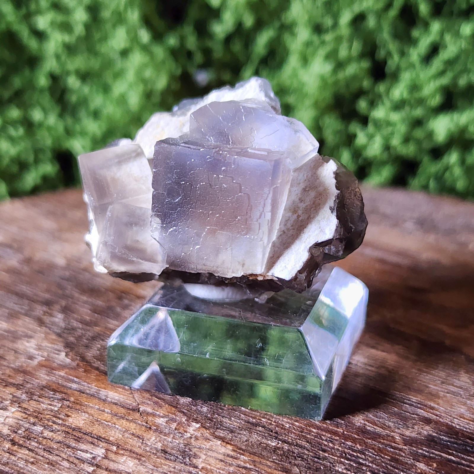 HQ Cubic Flourite With Calcite Specimen On Stand