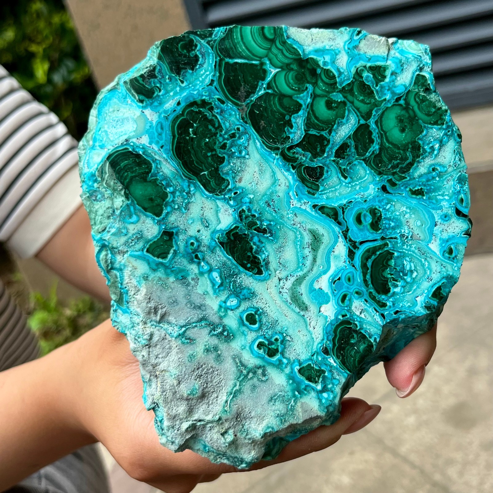 Natural Blue Green Chrysocolla Slice Polished Crystal Healing Stone 554 g