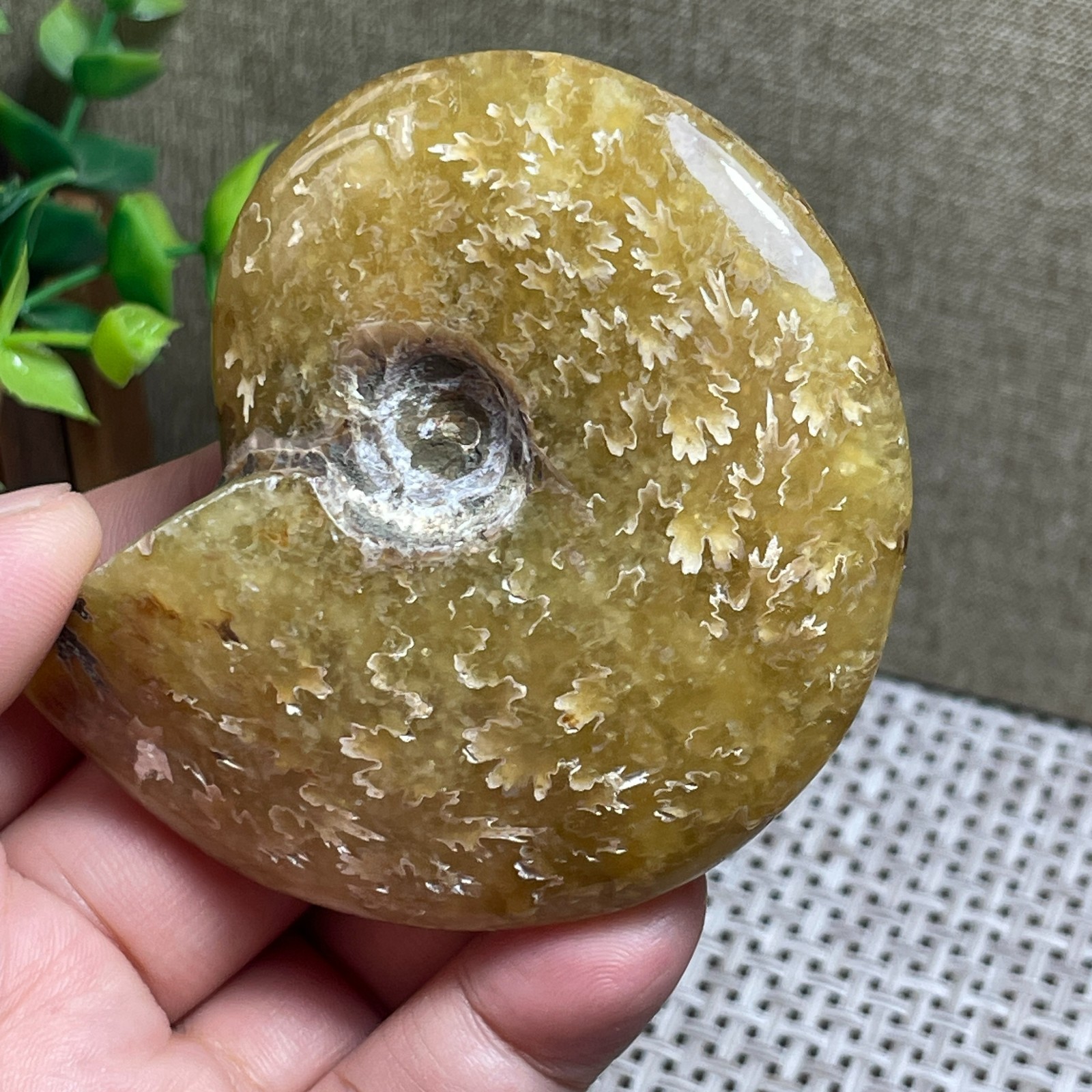 Madagascar Polishing Pretty Pattern Stone sculptor decoration 112g