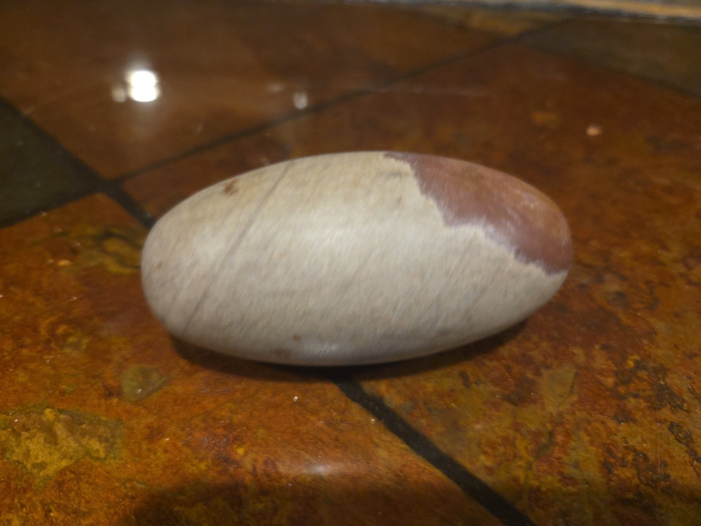 Shiva Polished Stone India 420 grams.