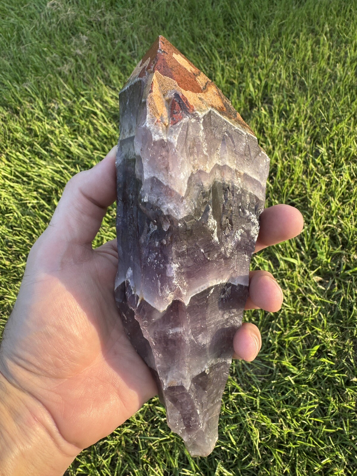 AURALITE 23 Red Cap Boreal Chevron Purple Amethyst Quartz Crystal Root Wand