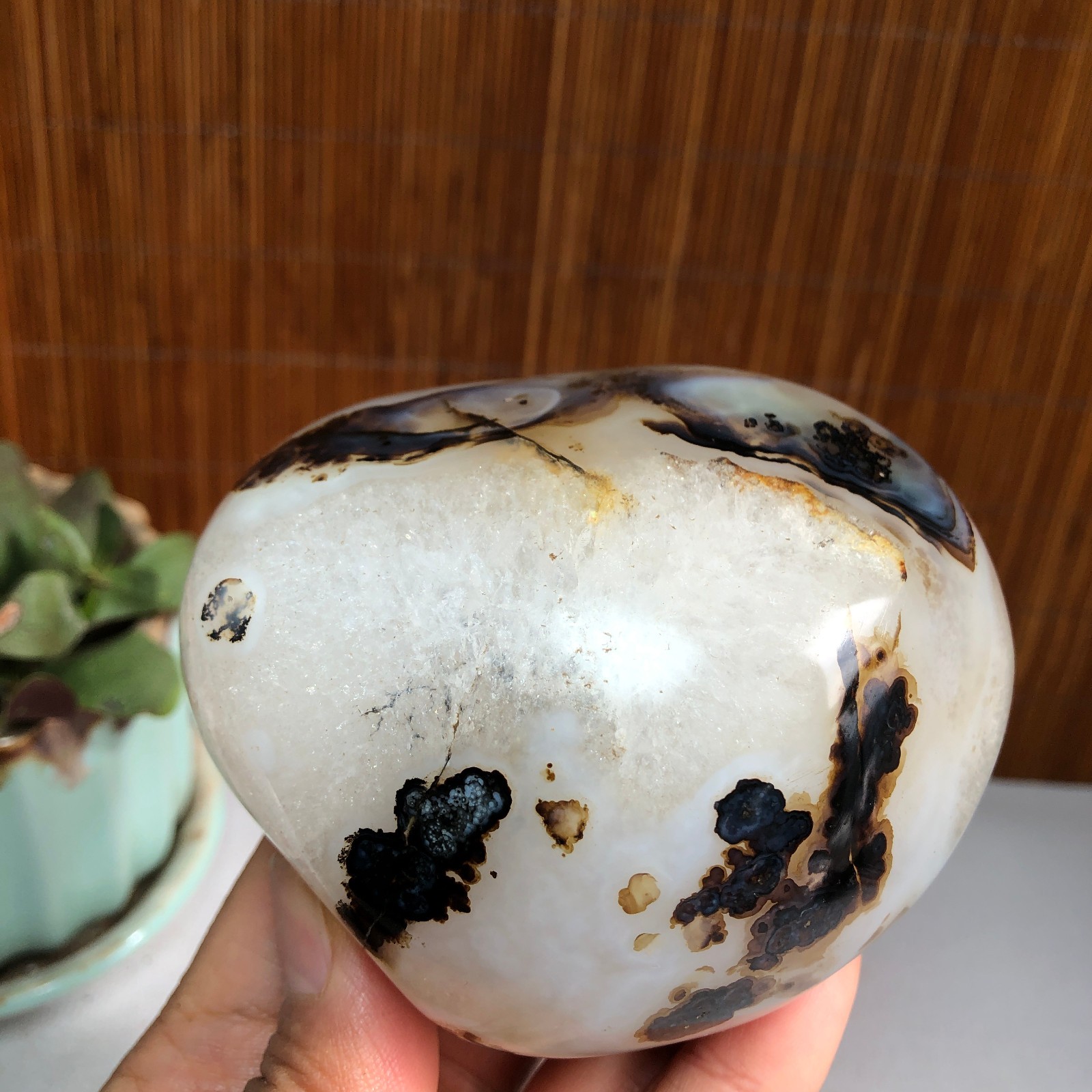83mm Natural aquatic plants agate pretty Crystal specimens 427g A1482