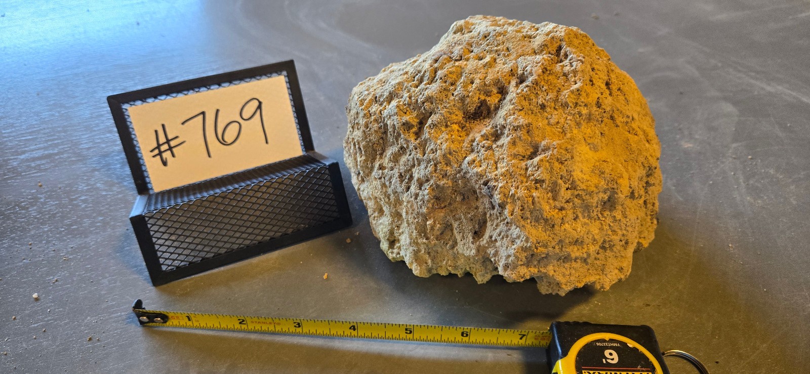 7″ Medium Pumice Stone Floating Natural Rock Carnivorous Succulent Garden #769