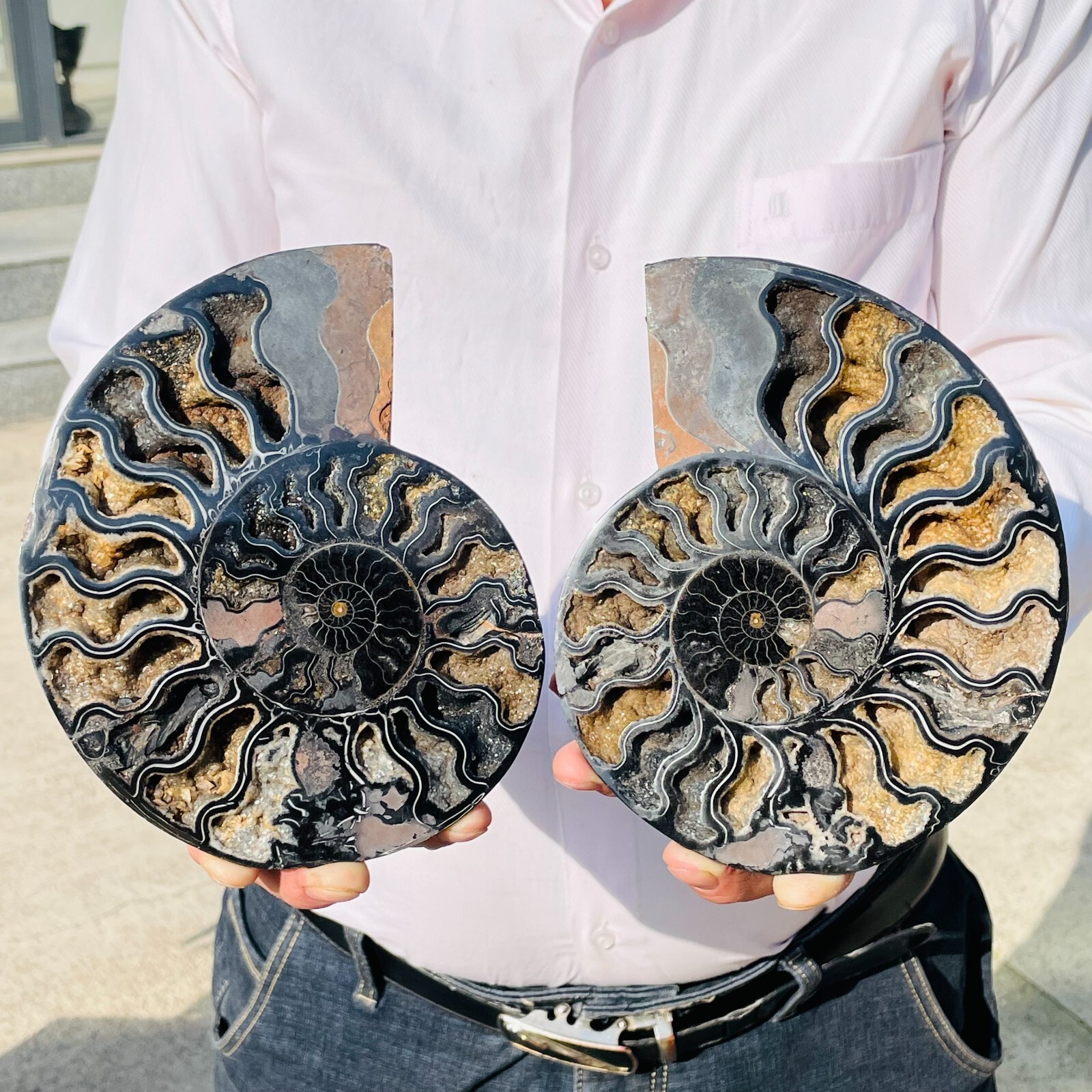 2.42lb Natural Pair Of Slices Conch Ammonite Fossil Crystal Geode Specimen Reiki