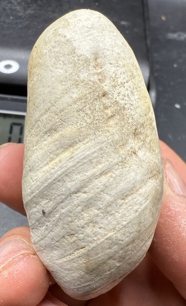 Lake Superior Fossil White Agate Stromatolite 1,100 Carats