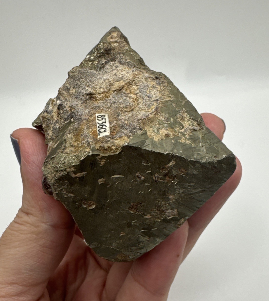 Pyrite Octahedron from Stevens Pass, Snohomish County, Washington USA