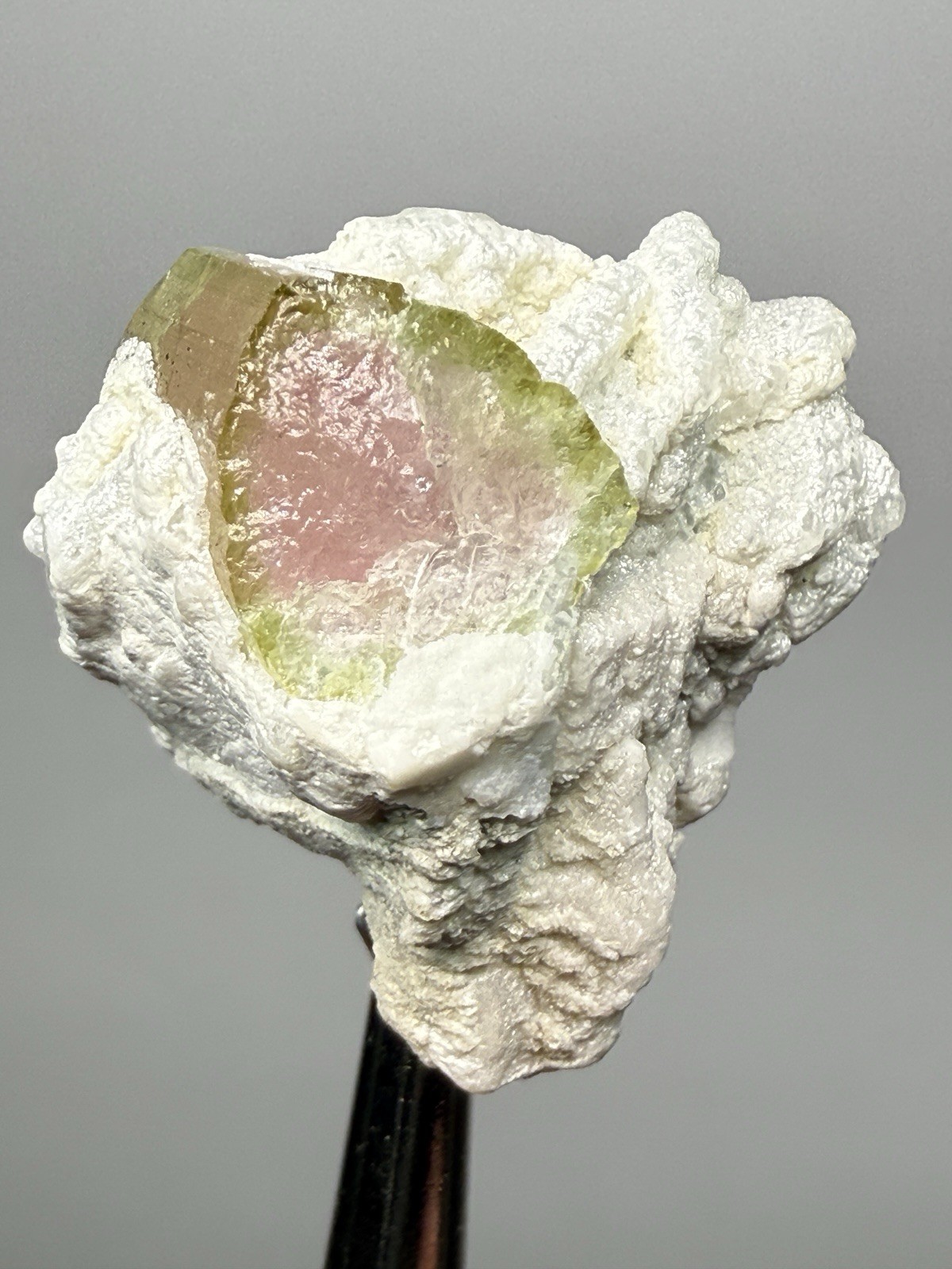 Watermelon Tourmaline on Matrix | Collector Mineral Specimen | Pakistan