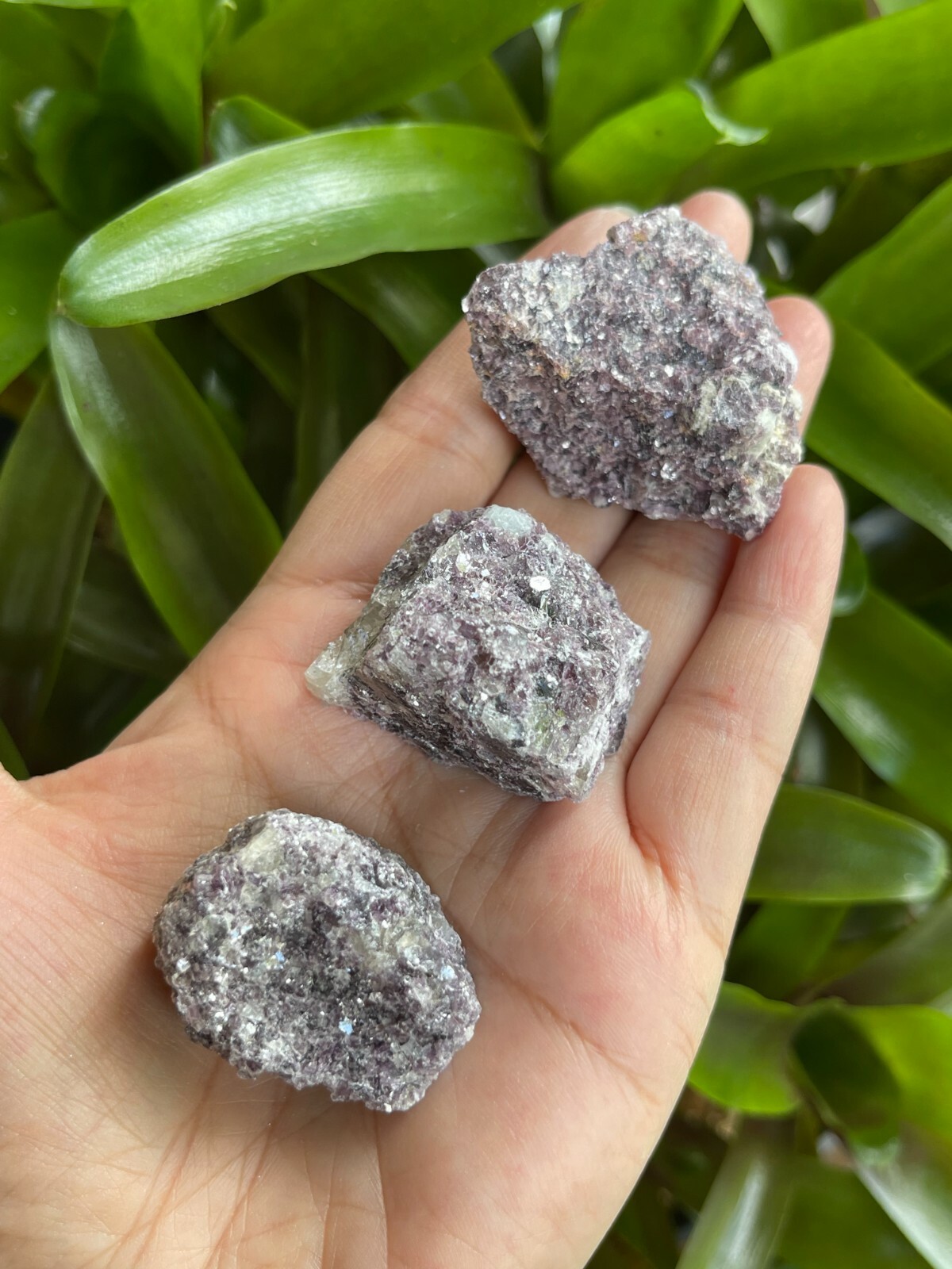 Lepidolite Raw Stone 1.5-2 Inches, Natural Rough Lepidolite, Wholesale Bulk Lot