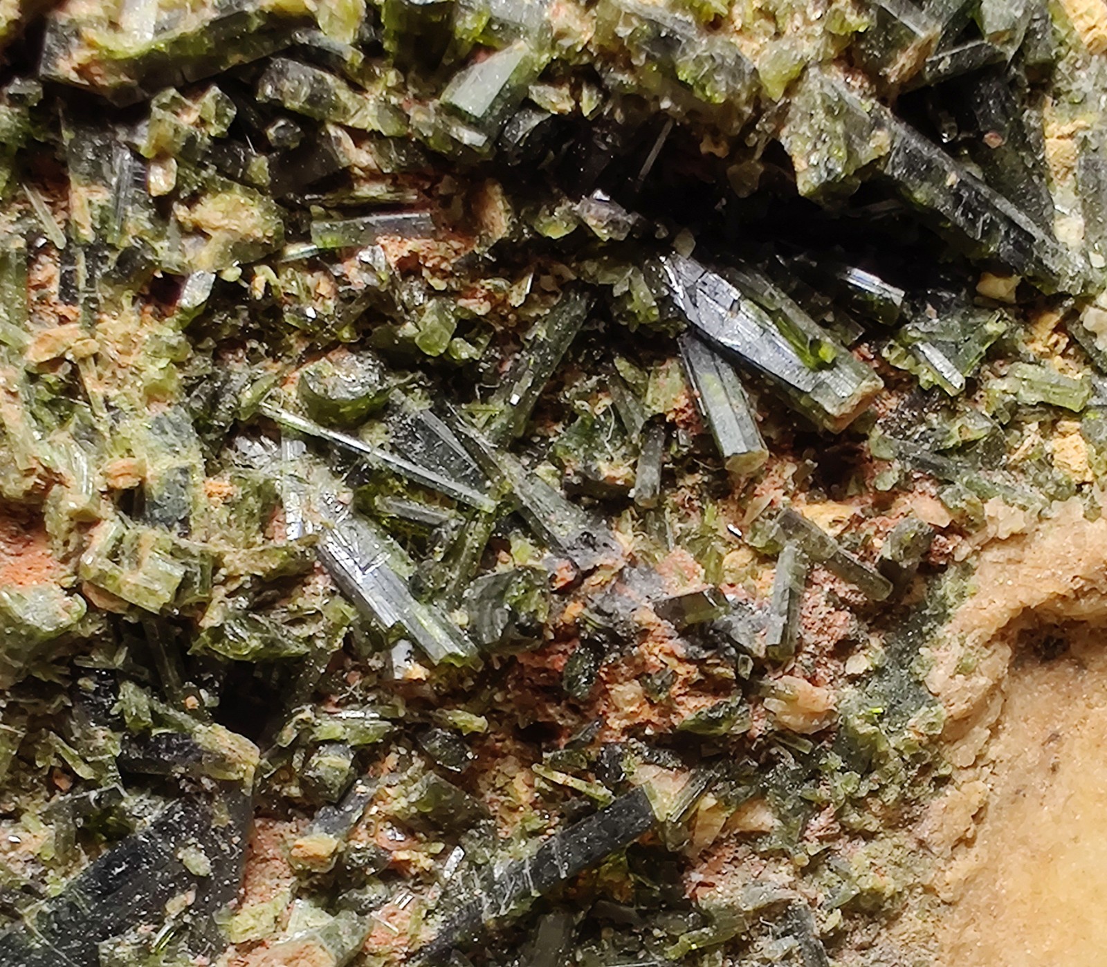Epidote crystals on Albite. Mitchell County, North Carolina. 4 cm.