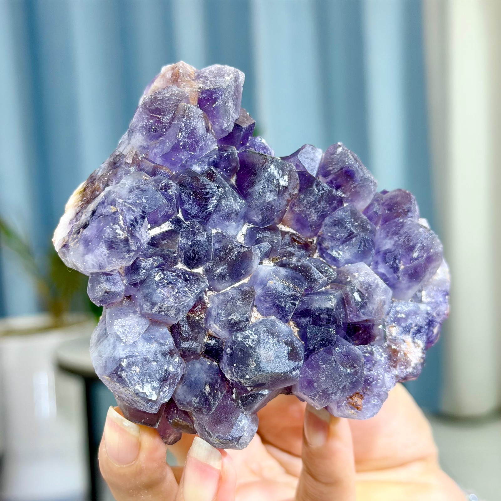 482G Natural Amethyst geode quartz cluster crystal specimen Healing