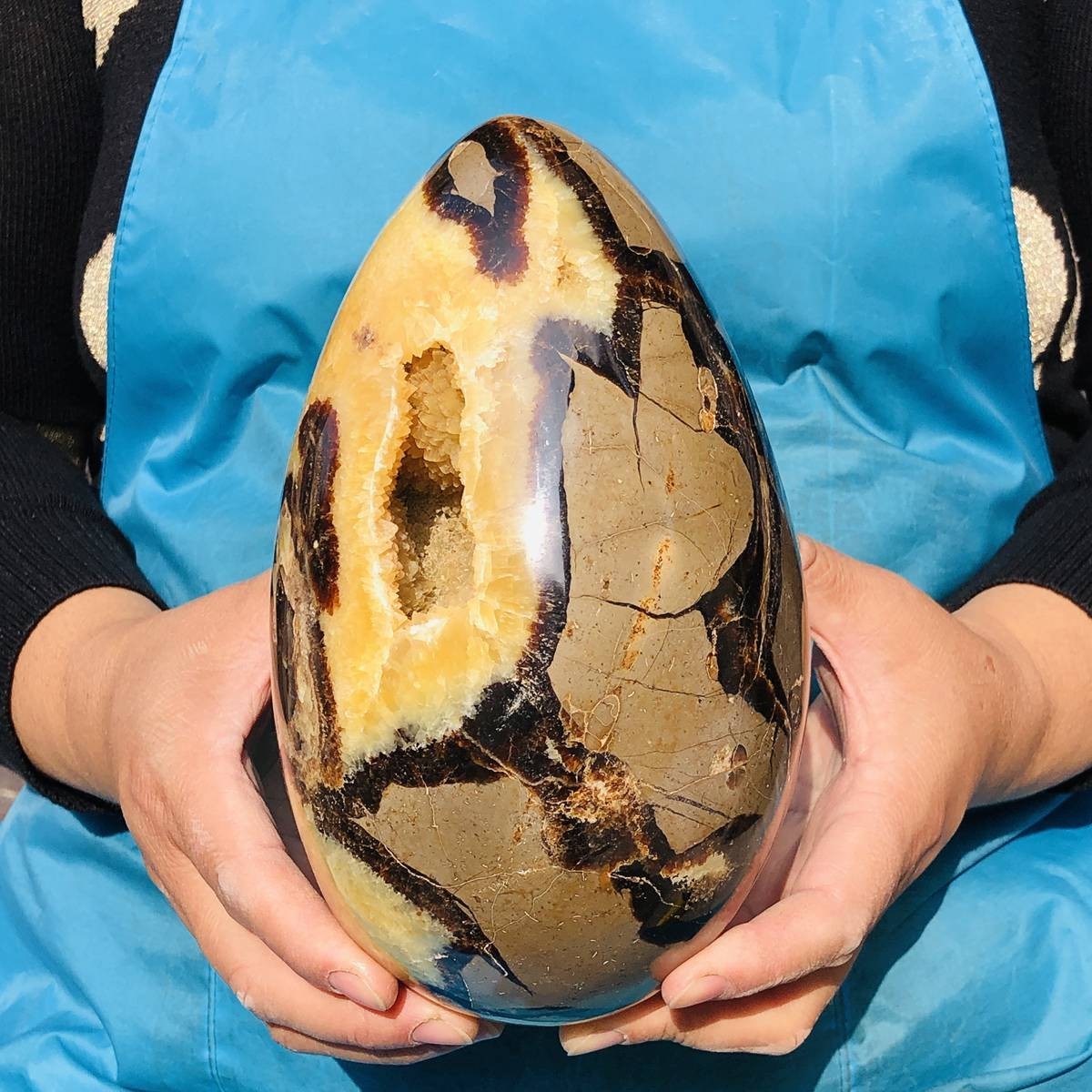7.28LB Natural Turtle Back Stone Egg Shape Dragon Crystal Crack Healing