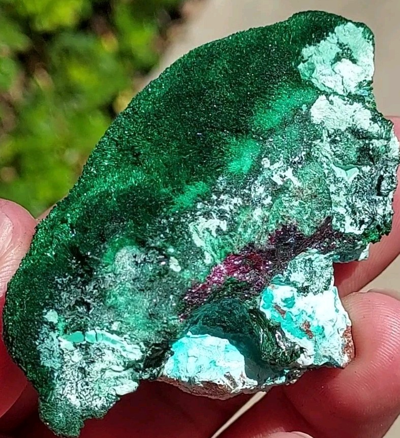 DEEP CHERRY RED CUPRITE, FIBROUS MALACHITE, & SHATTUCKITE FROM CONGO DRC