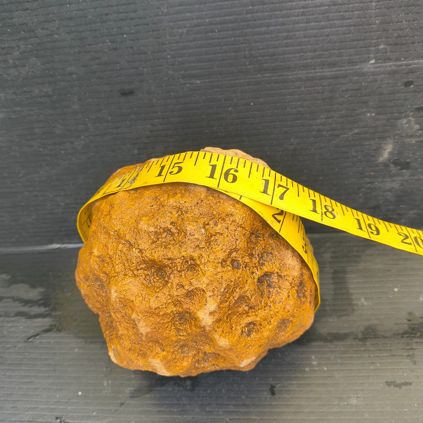 Unopened Natural Kentucky Geode 4.88 lb 6″ Exact Specimen