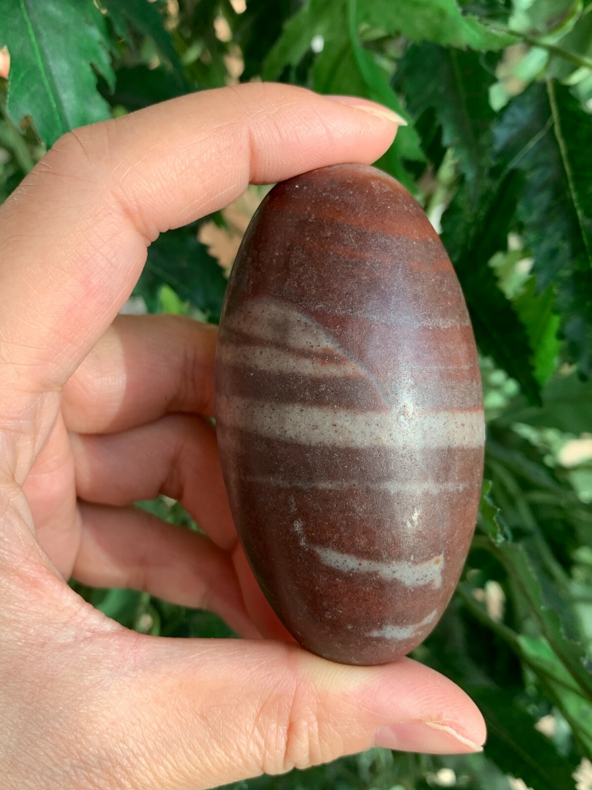 2″ 3″ 4″& 6″ Shiva Lingam Stone,Shiva Lingam Sacred Stone,Palm Stone,Pick A Size