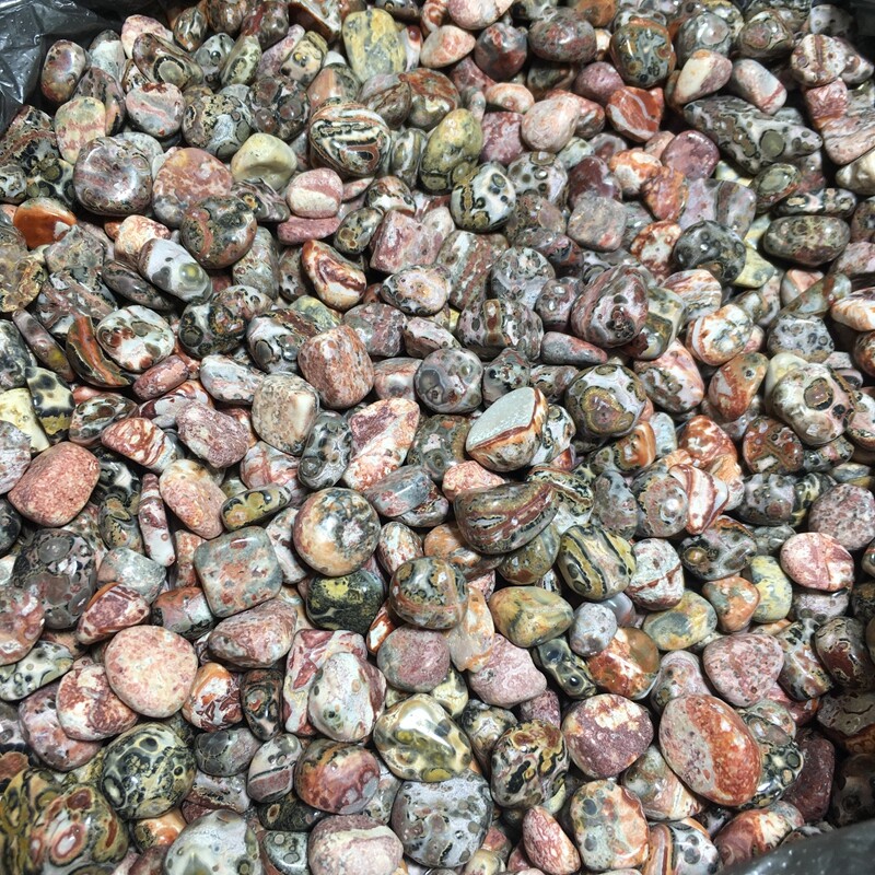 50g Leopard stone polish Tumbled stone healing reiki small size 4-9mm